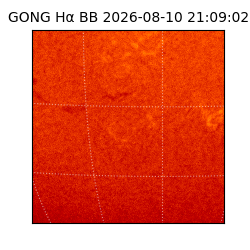 gong - 2026-08-10T21:09:02