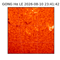 gong - 2026-08-10T23:41:42