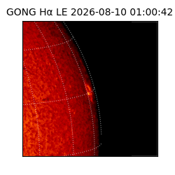 gong - 2026-08-10T01:00:42
