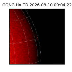 gong - 2026-08-10T09:04:22