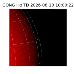 gong - 2026-08-10T10:00:22