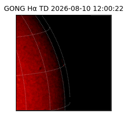 gong - 2026-08-10T12:00:22