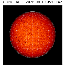 gong - 2026-08-10T05:00:42