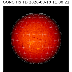 gong - 2026-08-10T11:00:22