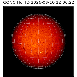 gong - 2026-08-10T12:00:22