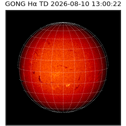 gong - 2026-08-10T13:00:22