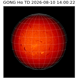 gong - 2026-08-10T14:00:22