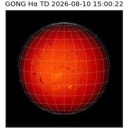 gong - 2026-08-10T15:00:22
