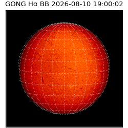 gong - 2026-08-10T19:00:02