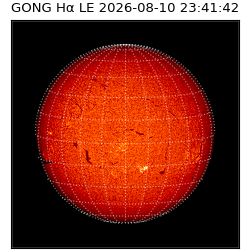 gong - 2026-08-10T23:41:42