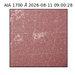 saia - 2026-08-11T09:00:28.717000