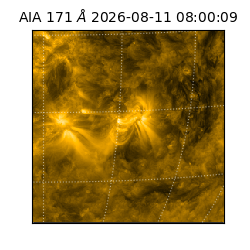 saia - 2026-08-11T08:00:09.351000