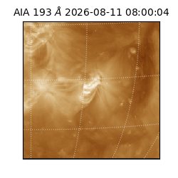 saia - 2026-08-11T08:00:04.842000