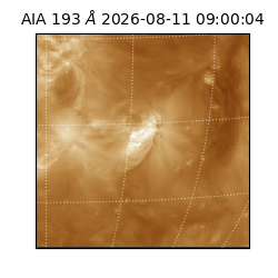 saia - 2026-08-11T09:00:04.842000