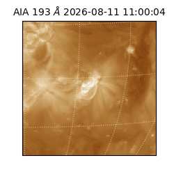 saia - 2026-08-11T11:00:04.842000