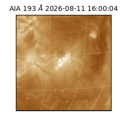 saia - 2026-08-11T16:00:04.842000