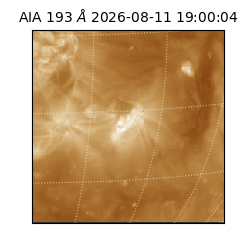 saia - 2026-08-11T19:00:04.842000
