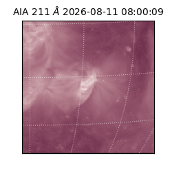 saia - 2026-08-11T08:00:09.630000