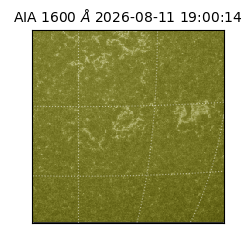 saia - 2026-08-11T19:00:14.123000