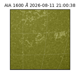 saia - 2026-08-11T21:00:38.124000