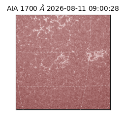 saia - 2026-08-11T09:00:28.717000