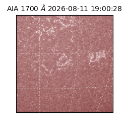 saia - 2026-08-11T19:00:28.717000