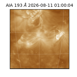 saia - 2026-08-11T01:00:04.842000