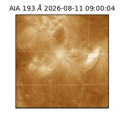 saia - 2026-08-11T09:00:04.842000