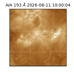 saia - 2026-08-11T10:00:04.842000