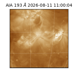 saia - 2026-08-11T11:00:04.842000