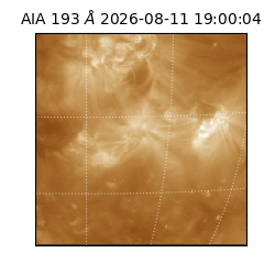saia - 2026-08-11T19:00:04.842000