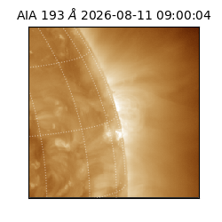 saia - 2026-08-11T09:00:04.842000