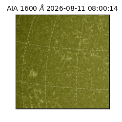 saia - 2026-08-11T08:00:14.123000