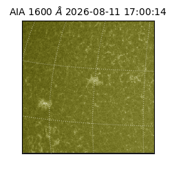 saia - 2026-08-11T17:00:14.123000