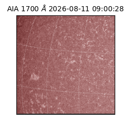 saia - 2026-08-11T09:00:28.717000