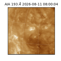 saia - 2026-08-11T08:00:04.842000