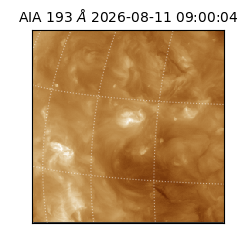 saia - 2026-08-11T09:00:04.842000