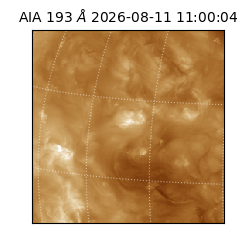 saia - 2026-08-11T11:00:04.842000