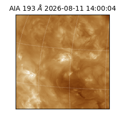 saia - 2026-08-11T14:00:04.842000