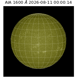 saia - 2026-08-11T00:00:14.130000