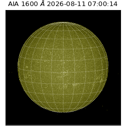 saia - 2026-08-11T07:00:14.123000