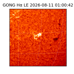 gong - 2026-08-11T01:00:42
