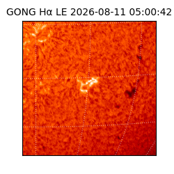 gong - 2026-08-11T05:00:42