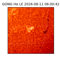 gong - 2026-08-11T06:00:42