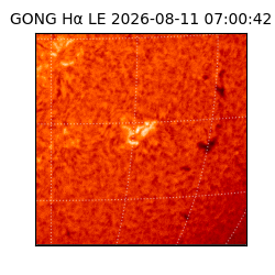 gong - 2026-08-11T07:00:42
