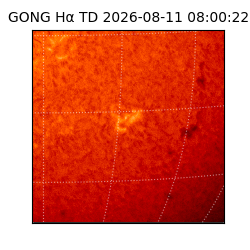 gong - 2026-08-11T08:00:22