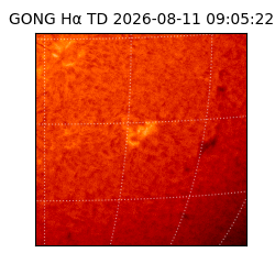 gong - 2026-08-11T09:05:22