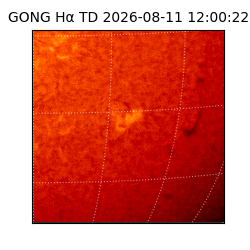 gong - 2026-08-11T12:00:22