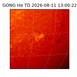 gong - 2026-08-11T13:00:22