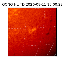 gong - 2026-08-11T15:00:22
